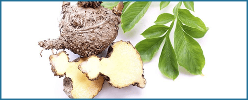 Glucomannan