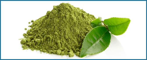 Green-tea-leaf-Extract